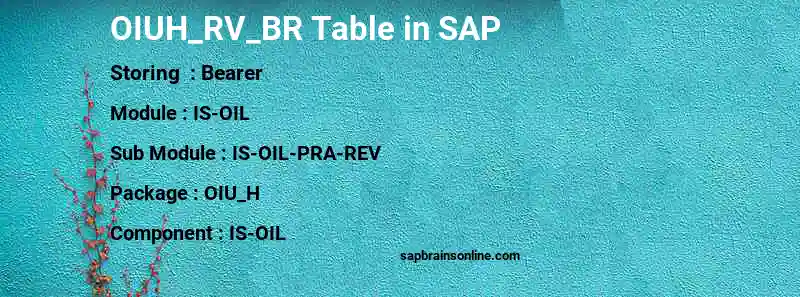 SAP OIUH_RV_BR table