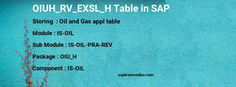 SAP OIUH_RV_EXSL_H table