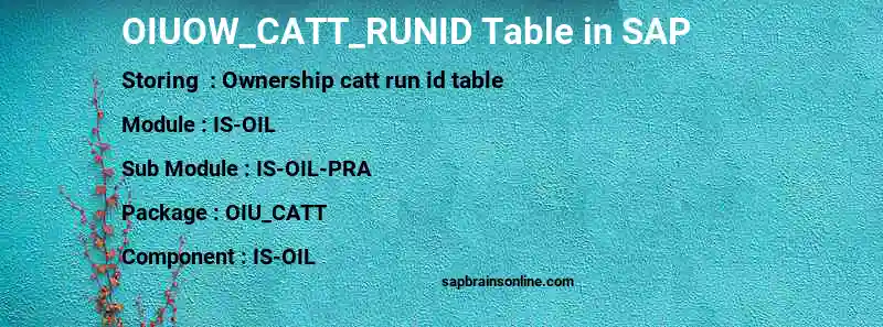 SAP OIUOW_CATT_RUNID table