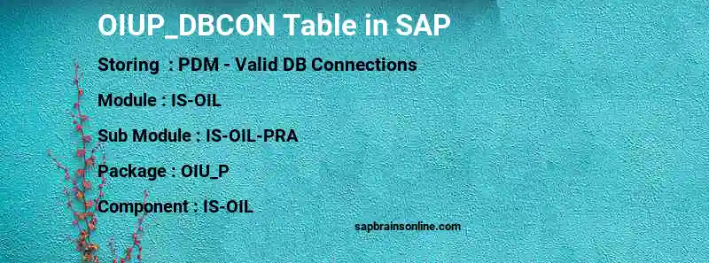 SAP OIUP_DBCON table
