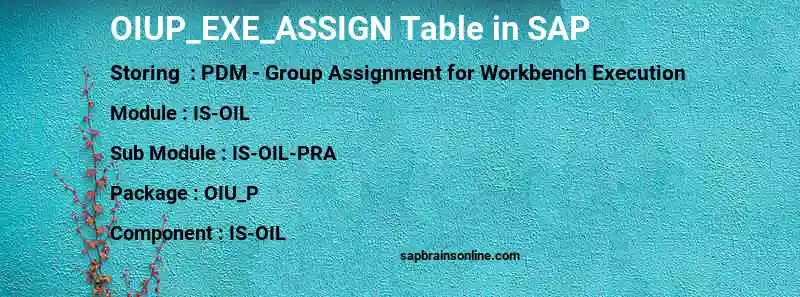 SAP OIUP_EXE_ASSIGN table