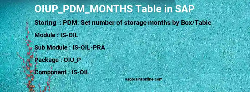 SAP OIUP_PDM_MONTHS table