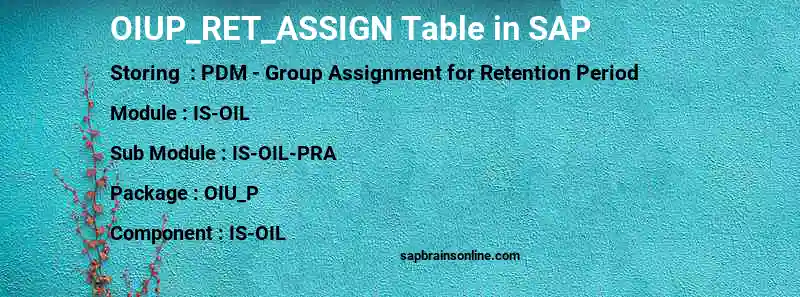 SAP OIUP_RET_ASSIGN table