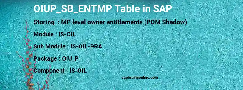 SAP OIUP_SB_ENTMP table