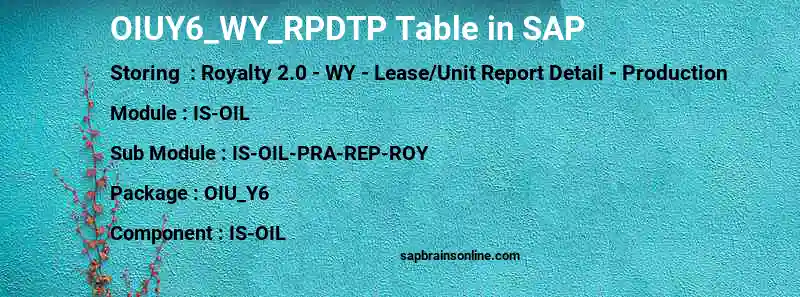 SAP OIUY6_WY_RPDTP table