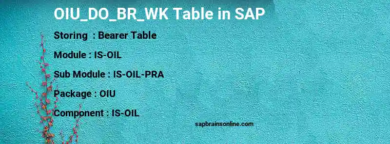 SAP OIU_DO_BR_WK table