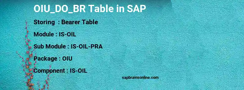 SAP OIU_DO_BR table