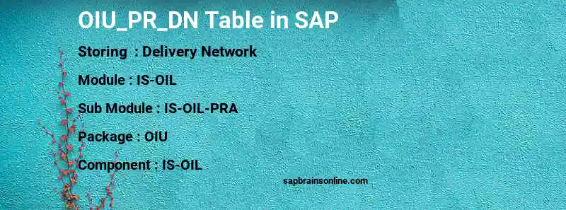 SAP OIU_PR_DN table