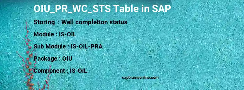 SAP OIU_PR_WC_STS table