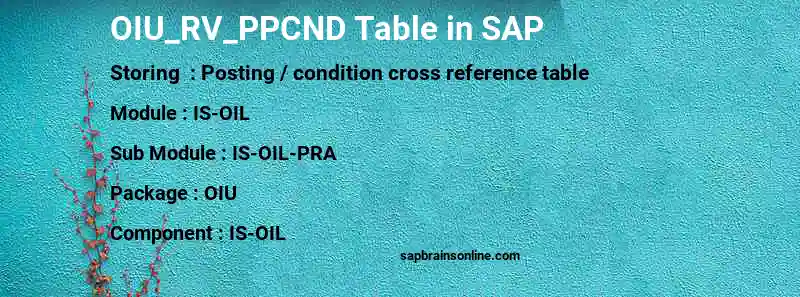 SAP OIU_RV_PPCND table