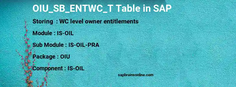 SAP OIU_SB_ENTWC_T table
