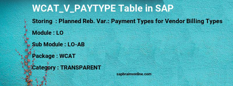 SAP WCAT_V_PAYTYPE table
