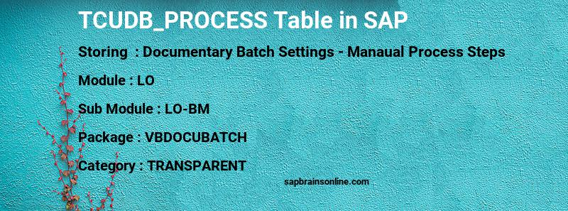 SAP TCUDB_PROCESS table