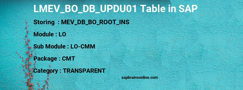 SAP LMEV_BO_DB_UPDU01 table
