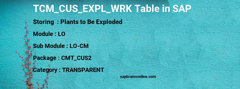 SAP TCM_CUS_EXPL_WRK table