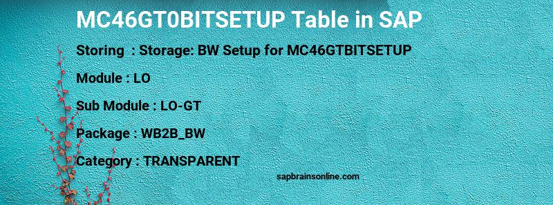 SAP MC46GT0BITSETUP table