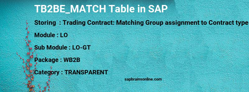 SAP TB2BE_MATCH table
