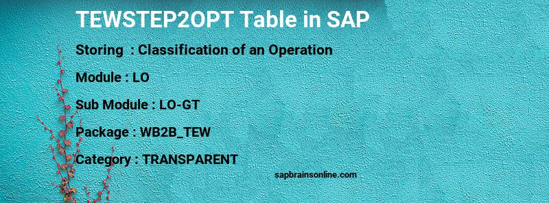 SAP TEWSTEP2OPT table