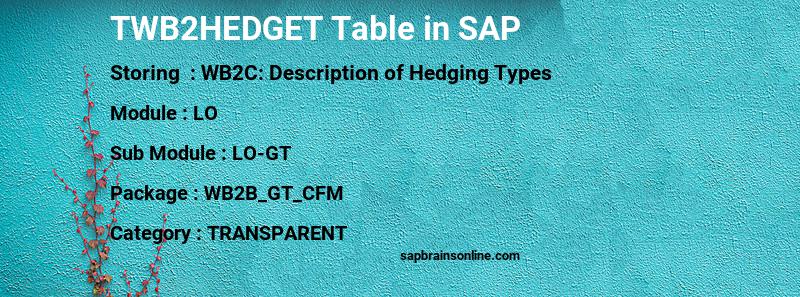 SAP TWB2HEDGET table