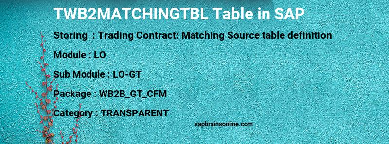 SAP TWB2MATCHINGTBL table