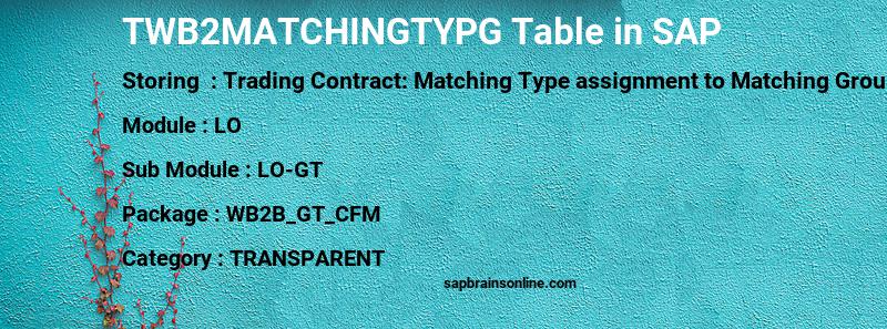 SAP TWB2MATCHINGTYPG table