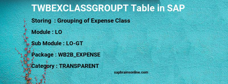SAP TWBEXCLASSGROUPT table
