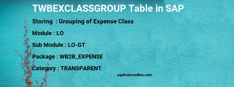 SAP TWBEXCLASSGROUP table