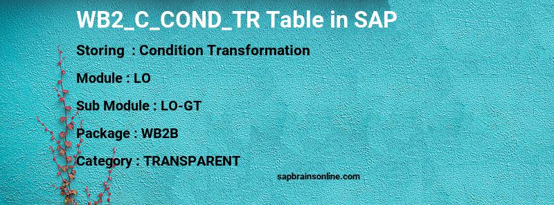 SAP WB2_C_COND_TR table