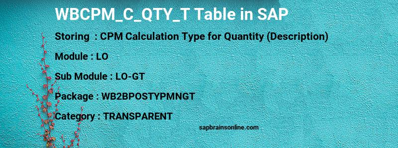 SAP WBCPM_C_QTY_T table