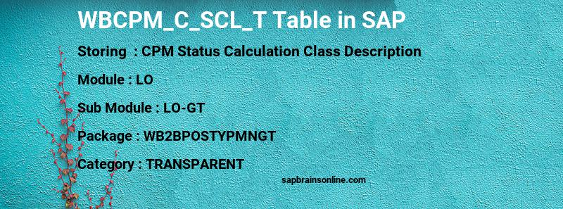 SAP WBCPM_C_SCL_T table