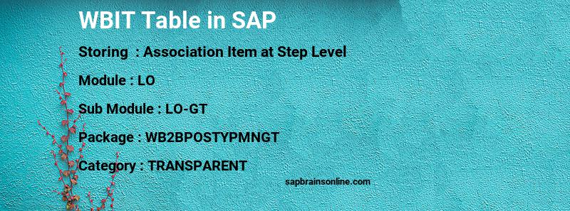 SAP WBIT table