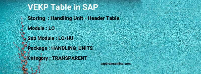 SAP VEKP table