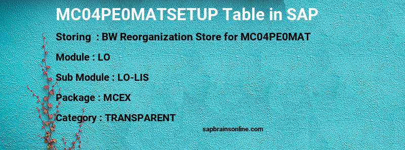 SAP MC04PE0MATSETUP table