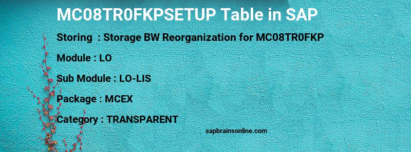 SAP MC08TR0FKPSETUP table