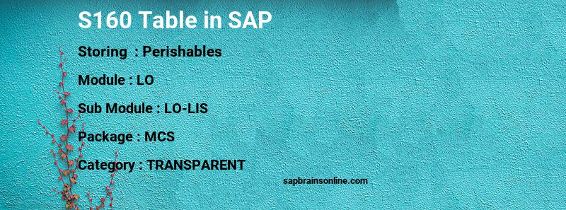 SAP S160 table