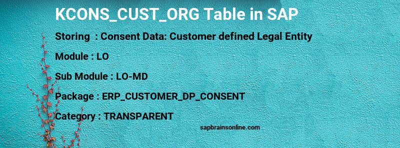 SAP KCONS_CUST_ORG table