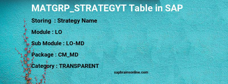 SAP MATGRP_STRATEGYT table