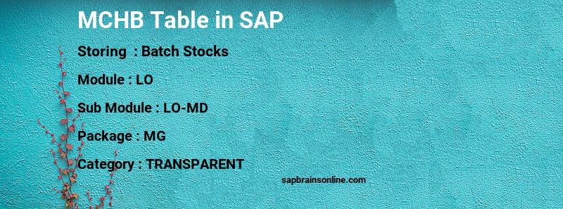 SAP MCHB table