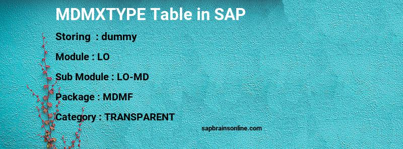 SAP MDMXTYPE table