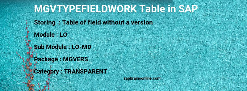 SAP MGVTYPEFIELDWORK table