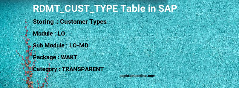 SAP RDMT_CUST_TYPE table