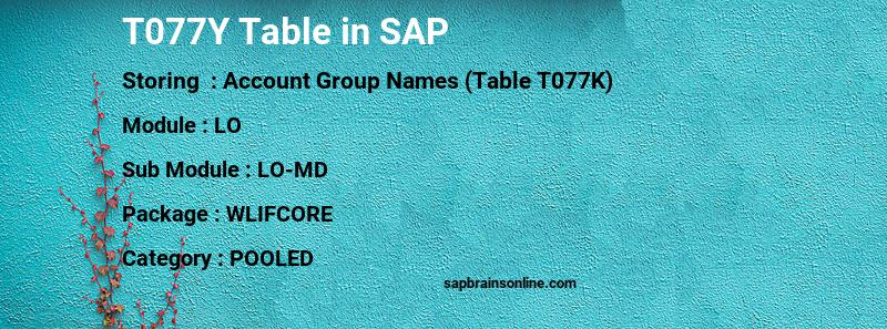 SAP T077Y table