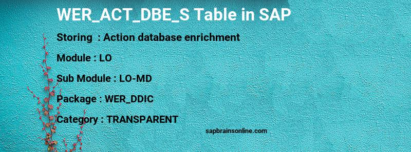 SAP WER_ACT_DBE_S table
