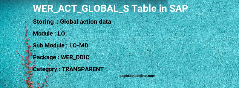 SAP WER_ACT_GLOBAL_S table