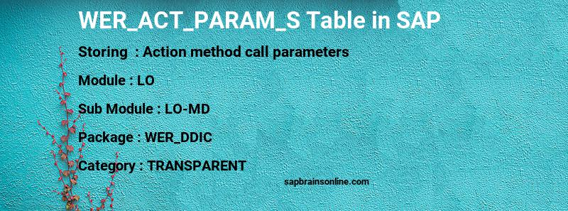 SAP WER_ACT_PARAM_S table