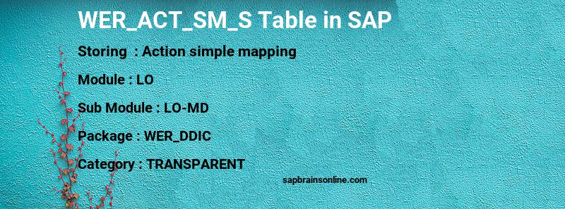 SAP WER_ACT_SM_S table