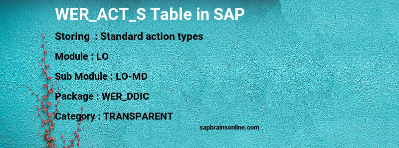 SAP WER_ACT_S table