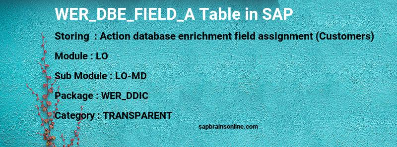 SAP WER_DBE_FIELD_A table
