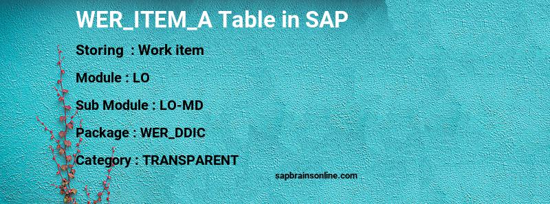 SAP WER_ITEM_A table