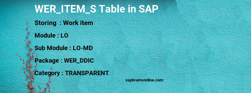 SAP WER_ITEM_S table